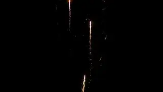 Happy New Year from Dr Stephanie Reid