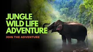 Explore Seaside Cities and Jungle Wildlife Adventure | Nature Documentry 2024 | Animal Documentry
