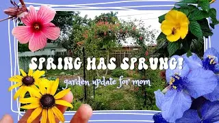 Spring Has Sprung! [Garden Updates for Mom Ep. 2]