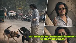 Rottweiler Met German Shepherd & So Many Indie Dogs | Day-602