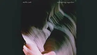 Noble Oak - After The Ending (Official Audio)