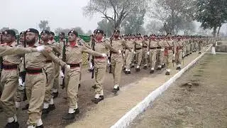passing out prade dsf RC 260