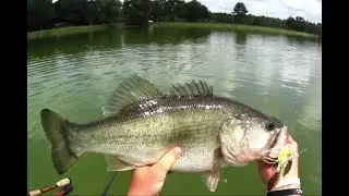 INSANE day catching monster bass in my float tube! Maybe the best in HISTORY!!