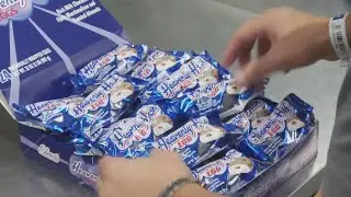 Elmer Chocolate sold to Florida equity firm