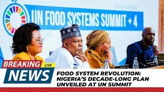 Food System Revolution: Nigeria&rsquo;s Decade-Long Plan Unveiled at UN Summit
