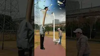 Goose fighting goose man goose fight special effects video production