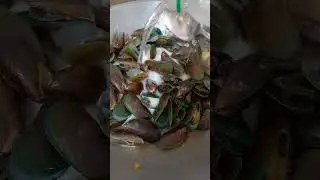 TAHONG WITH SPRITE #shortvideo #tahongwithsprite