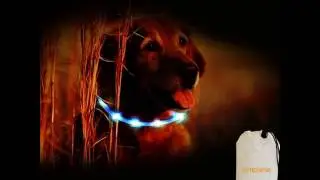 Outdoor Adventure Necessity LED Light Rope