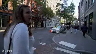 Central Park, High Line, The Egg, Brownstones, Bagels, and Greenwich Village
