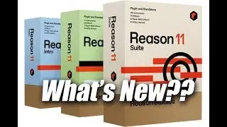 Reason 11 Upgrade - Do You Need it?