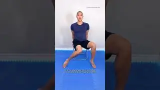 Beginner Chair Exercises for Hip Mobility
