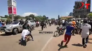 Wantam!Wantam!Chants Rock Kakamega as Sifuna Babu Owino Arrive in Style!!