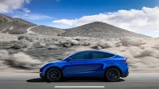 Tesla model Y Front door seal removal
