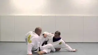 Double Ankle Grab Sweep-BJJ Blue Belt Requirements Technique #18