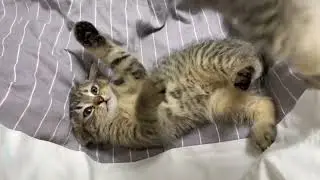 Как проходят наши ночи? ))