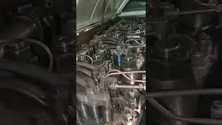 Two Stroke diesel engine