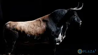 SORTEO | Toros de Dolores Aguirre y Sobral, desafío ganadero