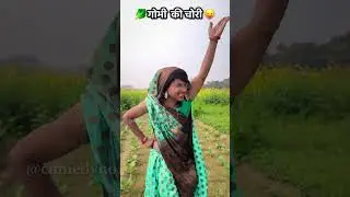 🥬 गोभी की चोरी // funny comedy video // comedy no1 