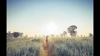 Augusto Cury - Contemple o belo