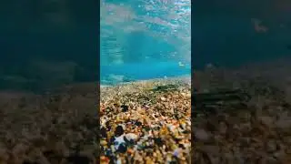 Best nature whatsapp status video 2020/nature love status 2020/new hindi song status/mood status