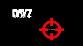 DayZ 9800x3D 9060XT 16gb Reaper 1080p