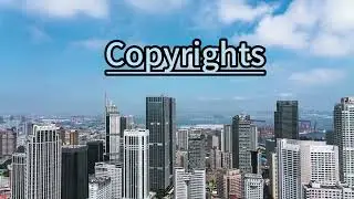 Types of Intellectual Property Infringement