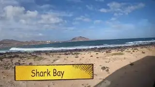 Daily Vlog: The Secret Life of Shark Bay| Day 7