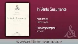 In Vento Susurrante, von Henrik Ajax (Raphael Brunner - Akkordeon)