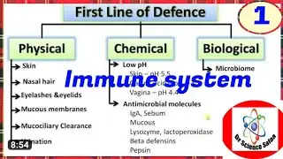 First line of defense  immune system #immunologyعلم المناعة