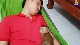 Monkey Cute | Sweet Sam sleeps well with Dad