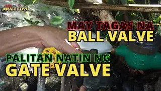Gate Valve Replacement │ Main Water Meter Valve Leaking