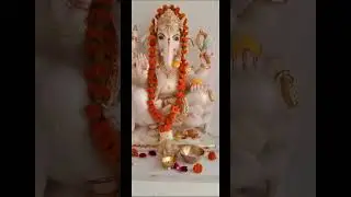Banke Bihari #bankebihari #holi #shortsviral