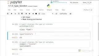 Concept: Using type - Introduction to Python: Absolute Beginner Module 1 Video 9
