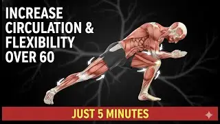 Knee-to-Toe Bends &ndash; Gentle Movement to Boost Circulation and Flexibility After 60