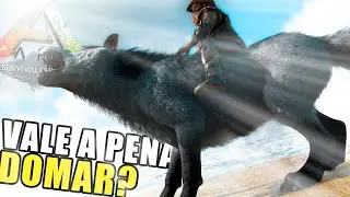 ARKDEX na Pr&aacute;tica - Direwolf - Lobo-Terr&iacute;vel - Lobo Gigante - ARK Survival Evolved