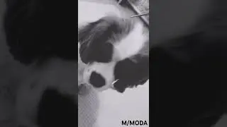 M/MODA. Наша новая модель🎀🌸💓