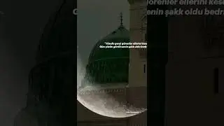 Medine&rsquo;ye giden kervan, alın g&ouml;t&uuml;r&uuml;n beni .. Efendime giden kervan .. 😭🤲🏻🤍