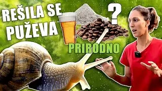 KAKO SAM SE REŠILA PUŽEVA *moje iskustvo, na prirodan način