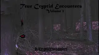 True Cryptid Encounters Volume 1