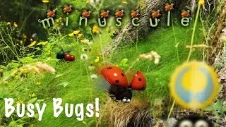 minuscule Busy Bugs! official mobile game trailer