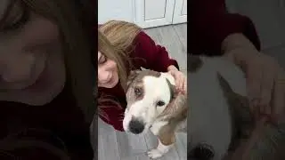 Посмотрите до конца 🙏🏻