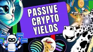 This Is How I Earn Crypto While I Sleep