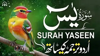Surah Yaseen Full | With Urdu & Hindi Translation | Heart Touching Quran Recitation Full HD #yaseen