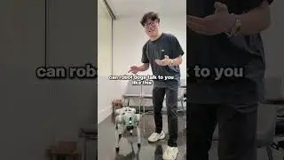Robot dog responds to voice commands