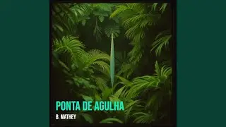 Ponta De Agulha