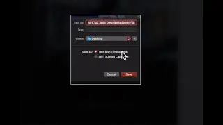 Export Transcript or SRT