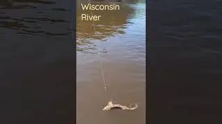 wisconsin river 2023