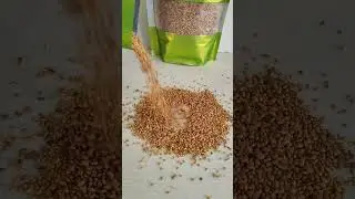 Proso Millet Seeds