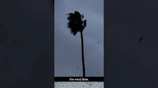 Santa Cruz Weather Update