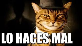 Los errores que tu gato te deja cometer (a propósito) 😼